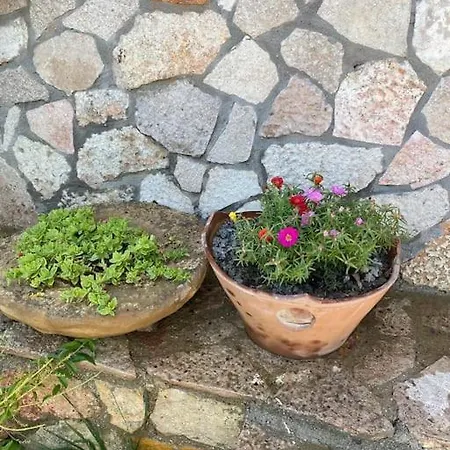 Ela Hanimin Villasi Gokceada